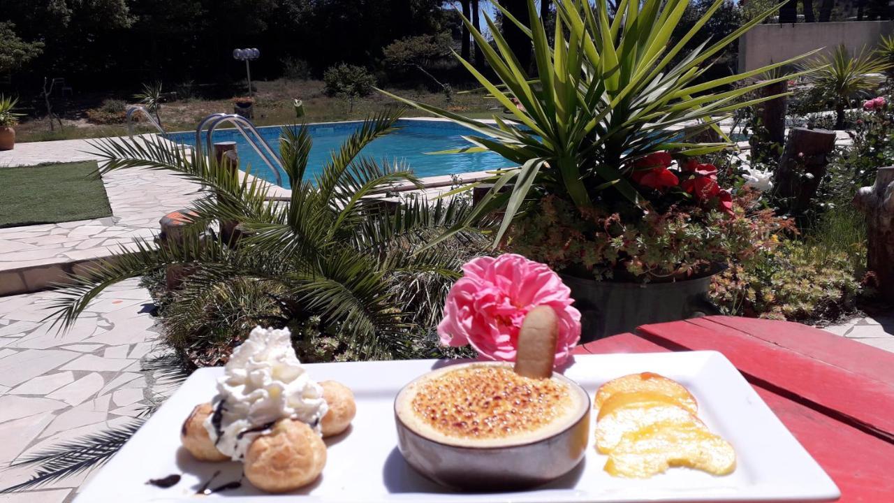 Bel Hotel Restaurant La Gentilhommiere Trèbes Екстериор снимка